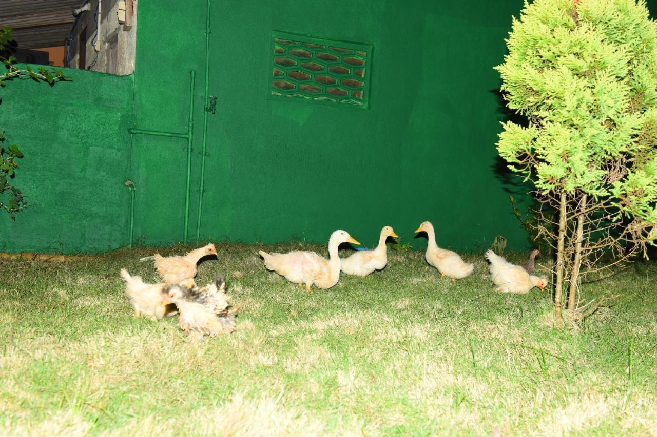K G N Farmhouse Kundapur Esterno foto